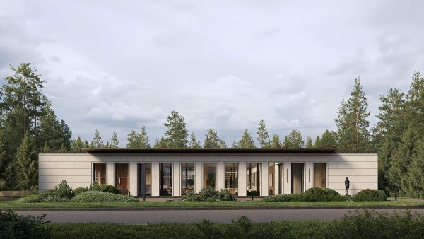 Romashkovo House